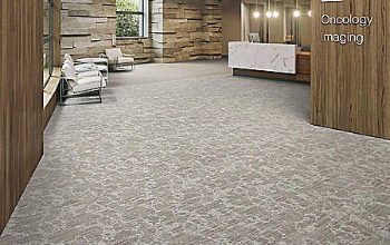 Healthy Environments Carpet